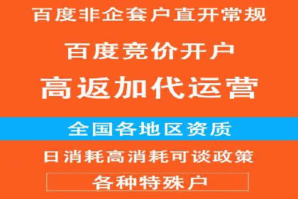 信息流竞价策略解析：成功案例分析